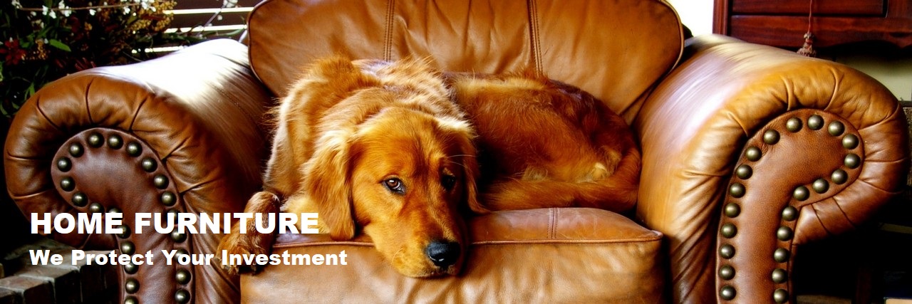 Testimonials Leather Repair Oc Llc, How To Repair Leather Scratches From Dogs